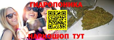 прущий лед Кингисепп