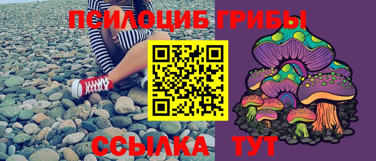 Псилоцибиновые грибы Psilocybine cubensis  Вход с VPN  Королёв  Галлюциногенные грибы Magic Shrooms 
